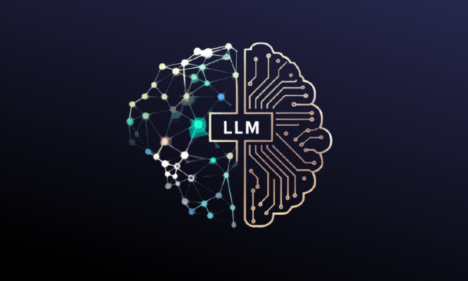 Hospice fine-tuned LLM Interface